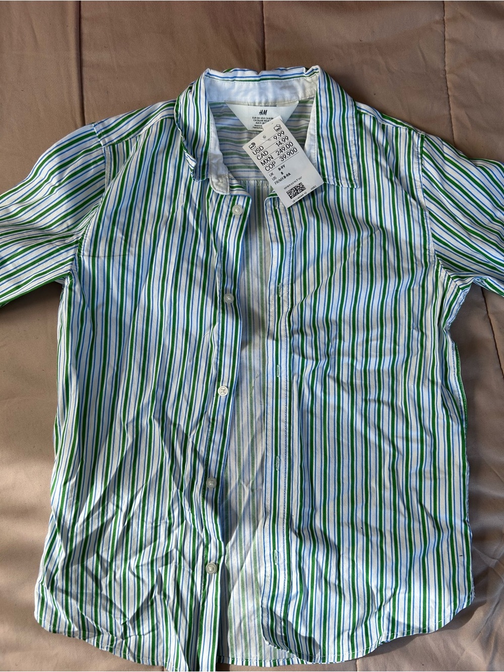 H&M Blue and Green Vertical Stripe Button-Down Shirt